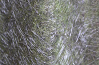 Mappleborough Green fibreglass roof work